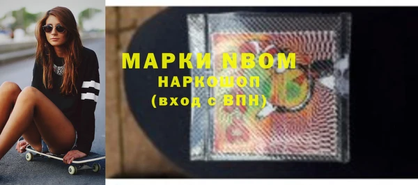 прущие грибы Аркадак