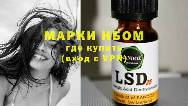 прущие грибы Аркадак