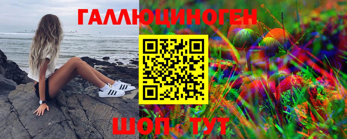 Галлюциногенные грибы мухоморы Белорецк